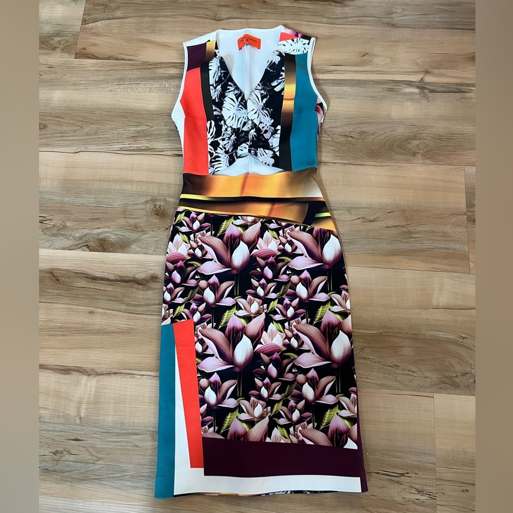 Clover Canyon dress